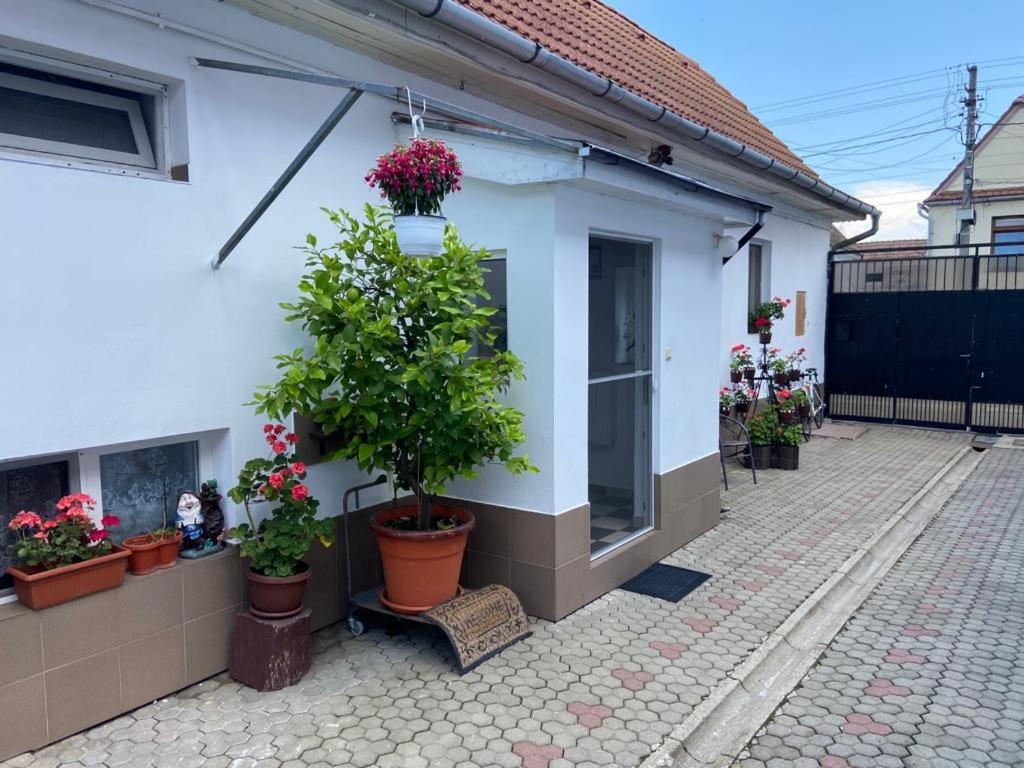 Brick Airport Apartment Cristian  Exterior photo